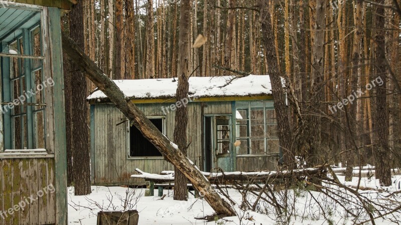 Camp Children Tree Fallen Snow