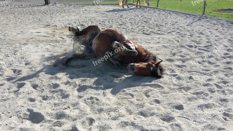 Pony Clay Court Rolling Horse Free Photos