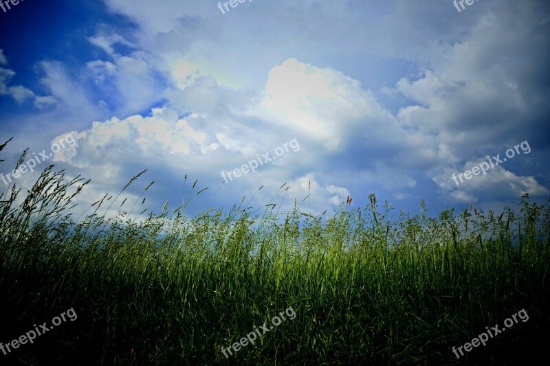 The Clouds Meadow Grass Nature Sky