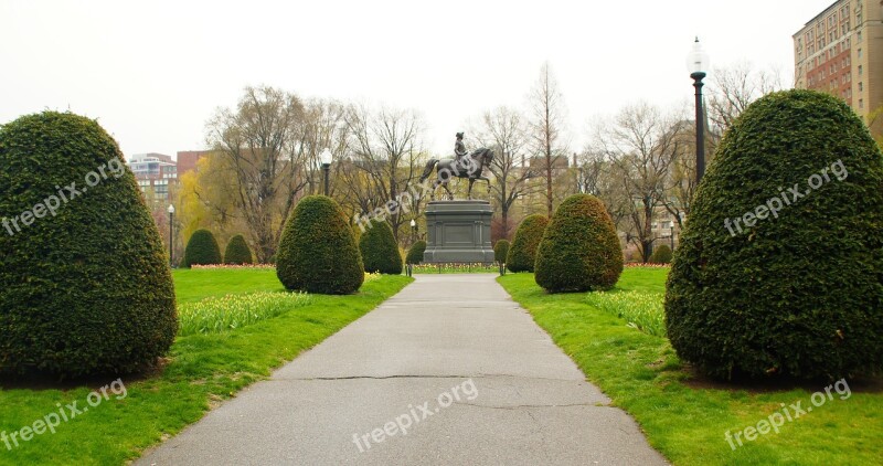 Boston Garden Nature Trees Statue