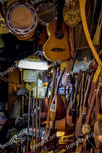 Luthier Instrument Music Shop Musical