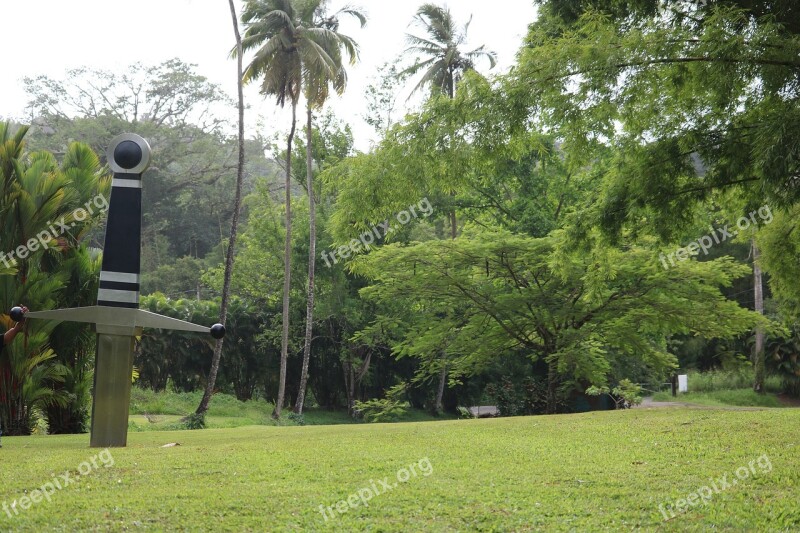 Garden Sword Knight Tropical Martinique