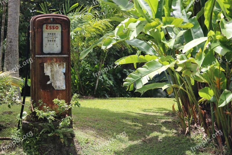 Vintage Pump Gasoline Garden Former