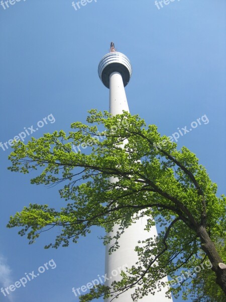 Tower Tree Sky View Stuttgart