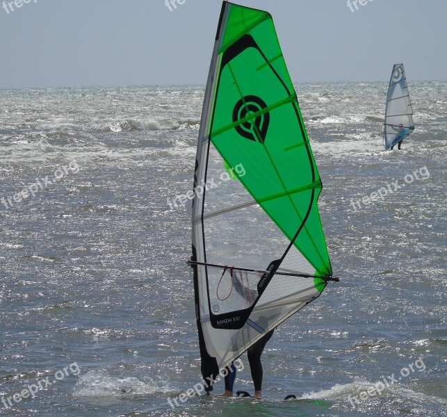 Windsurfer Windsurfing Water Sport Summer