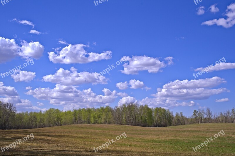 Spring Farm Sky Blue Aspen