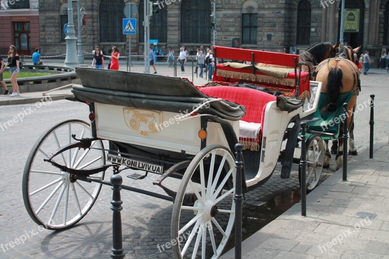 Coach Horse Ukraine Lviv City Centre