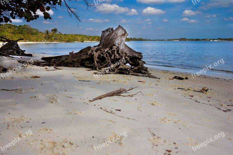 Beach Florida Florida Beach Ocean Vacation