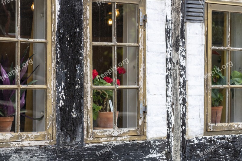 Old Windows Timber Frame Potted Plants Decay Denmark