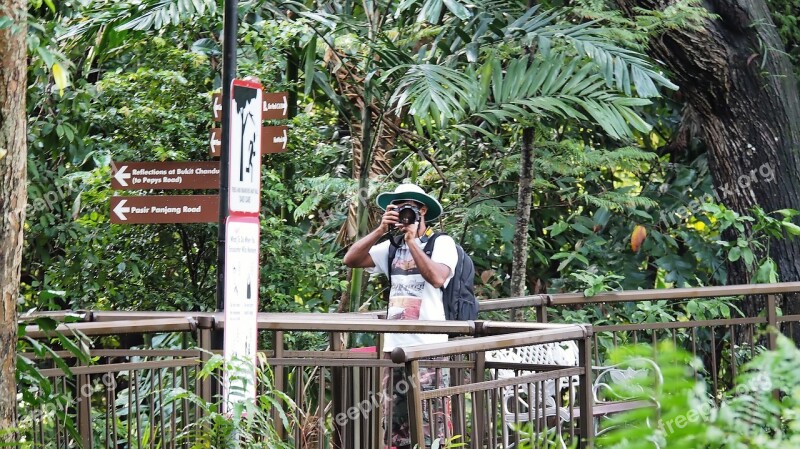 Outdoor Nature Park Travel Tourism