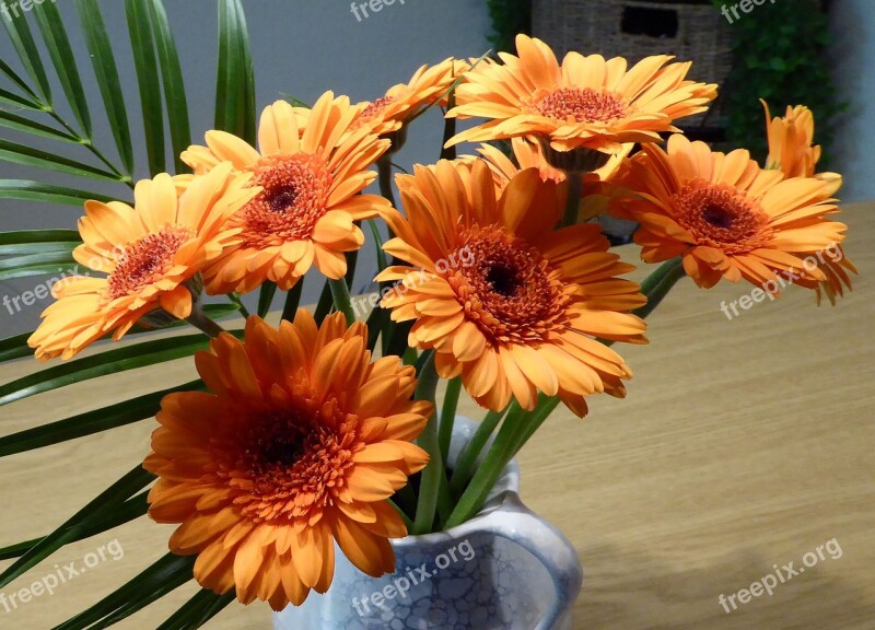 Bouquet Gerbera Cut Flowers Flower Garden Decorative