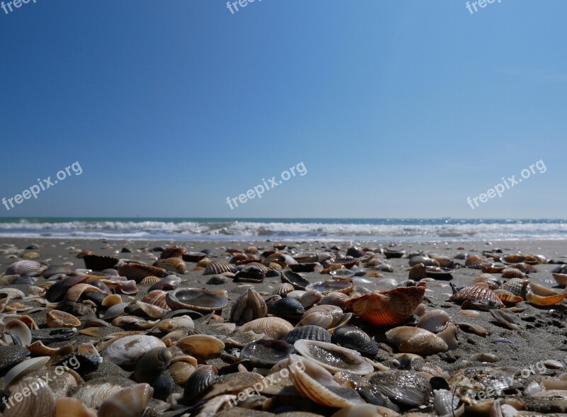 Venice Lido Sand Beach Ocean