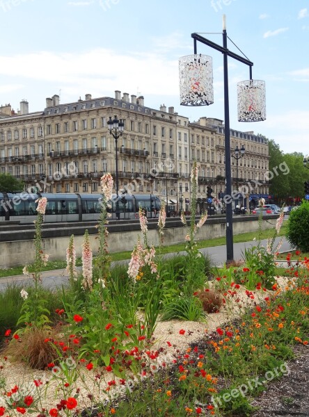 Bordeaux Road Flowers France Free Photos