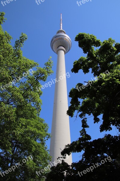 Tv Tower Leaves Tree Berlin Alexanderplatz