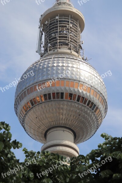 Tv Tower Leaves Tree Berlin Alexanderplatz