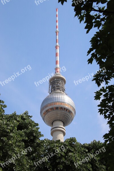 Tv Tower Leaves Tree Berlin Alexanderplatz