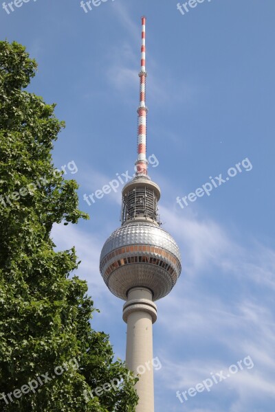 Tv Tower Leaves Tree Berlin Alexanderplatz