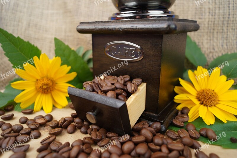 Coffee Coffee Mill Whole Bean Coffee Caffeine Grind