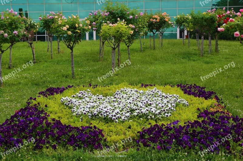 Paysage Landscape The Rose Garden Roses Rose