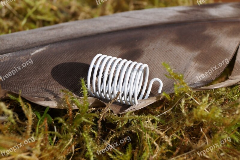 Feather Industrial Spring Bird Feather Close Up White