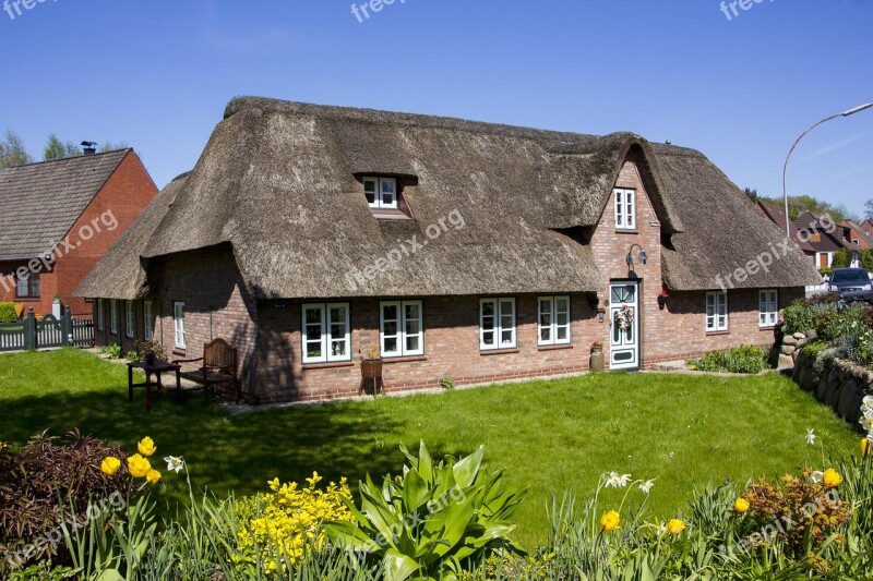 Thatched Roof Thatched Cottage Thatched Live Reed