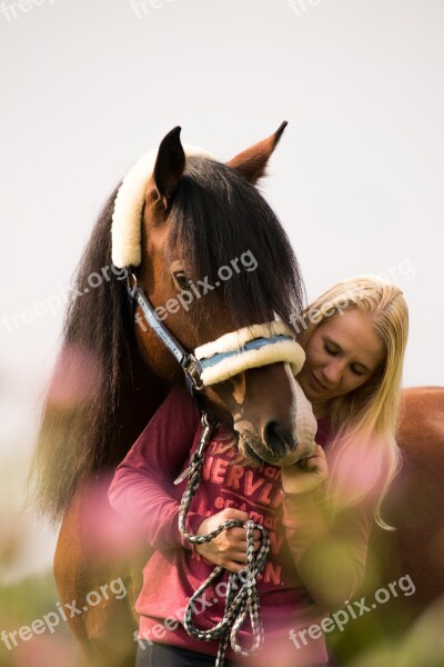 Cavalry Portrait Mammal Human Adult