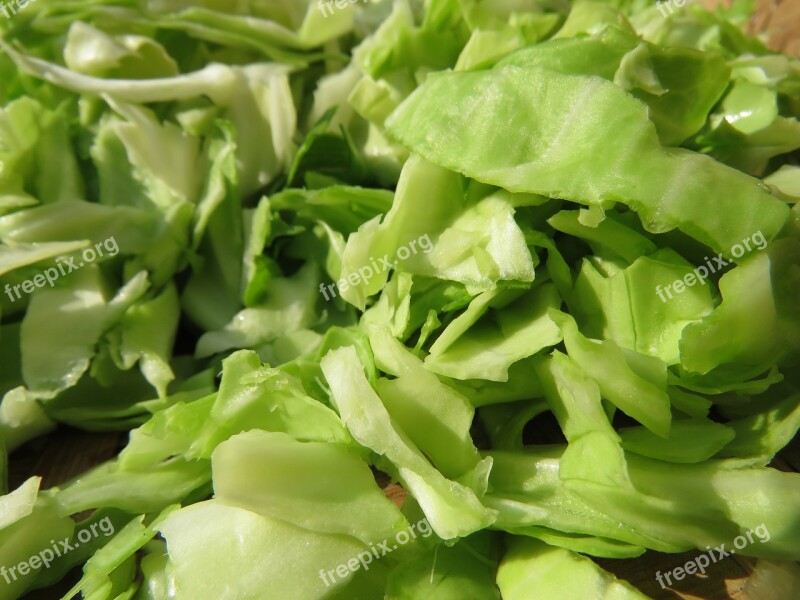 Sliced Cabbage Cabbage Vegetable Salad Free Photos