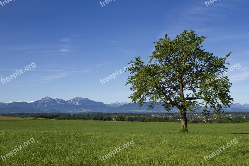 Salzburg Country Flachgau Free Photos