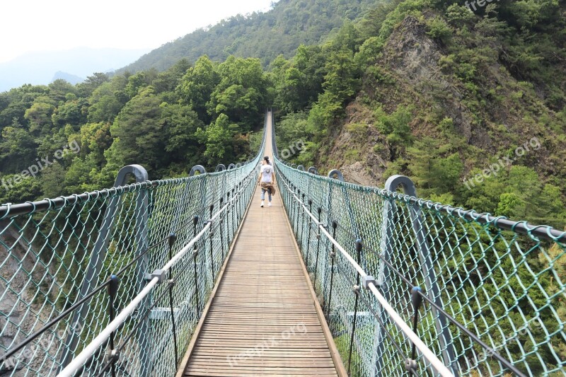 Suspension Bridge Tree Bridge Free Photos