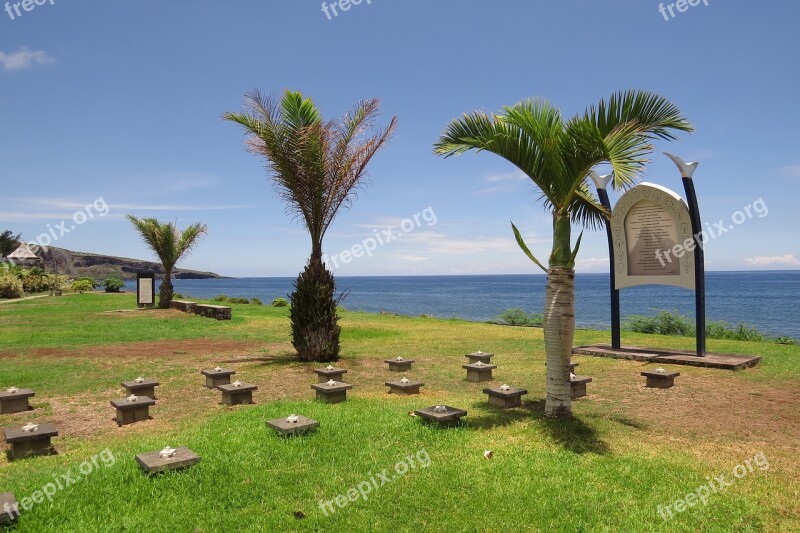 Marine Cemetery Palm Trees The Meeting Sea Free Photos