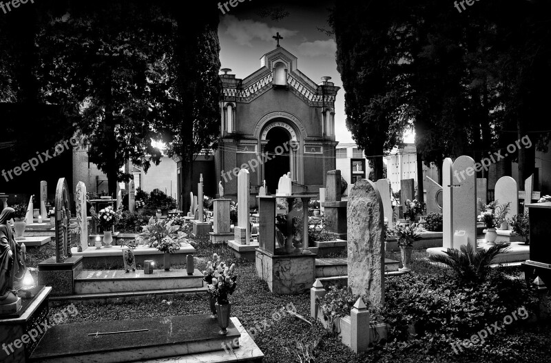 Cemetery Tomb Graves Cypress Trees Fear