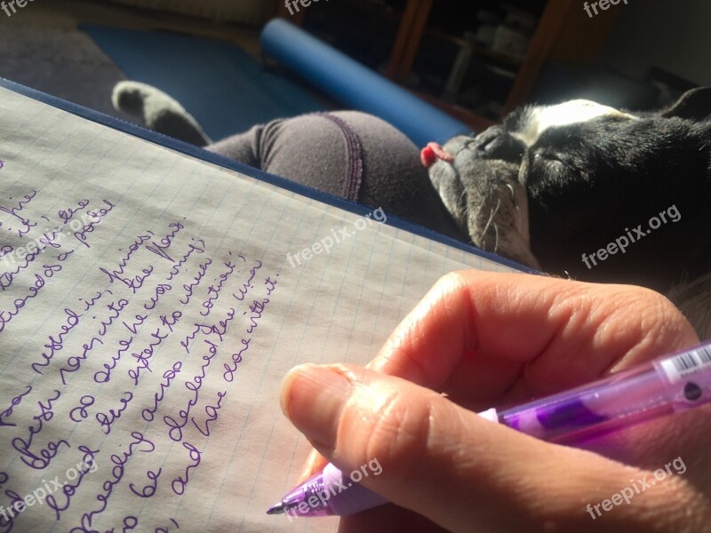 Homework Composition Writing Boston Terrier Pen