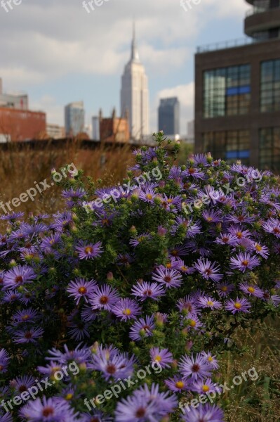 New York High Line Empire State Building America Usa