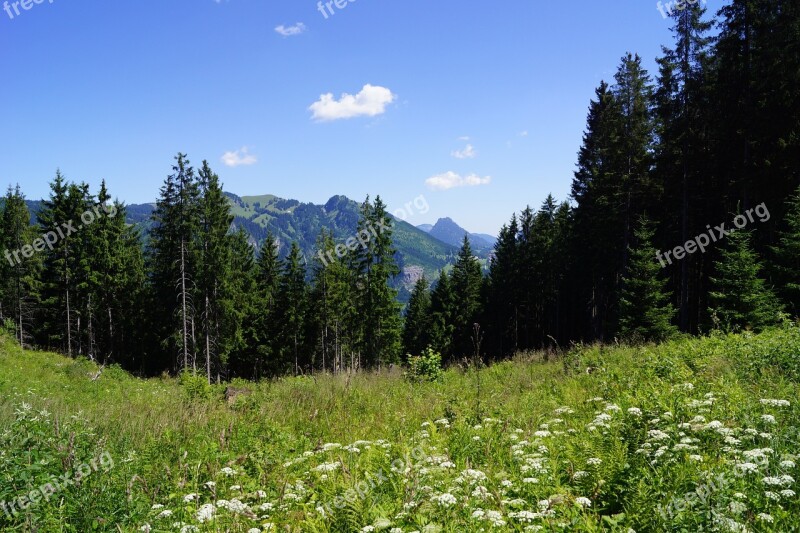 Oberallgäu Blue Sky Allgäu Landscape Alpine