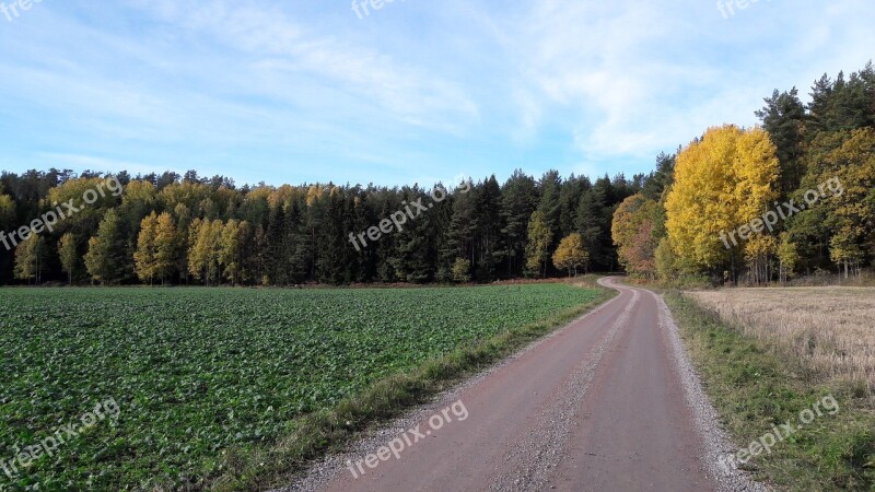 Summer Dirt Road Autumn Free Photos