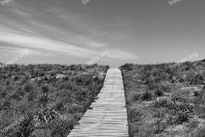 Boardwalk Away Horizon Beach Black And White