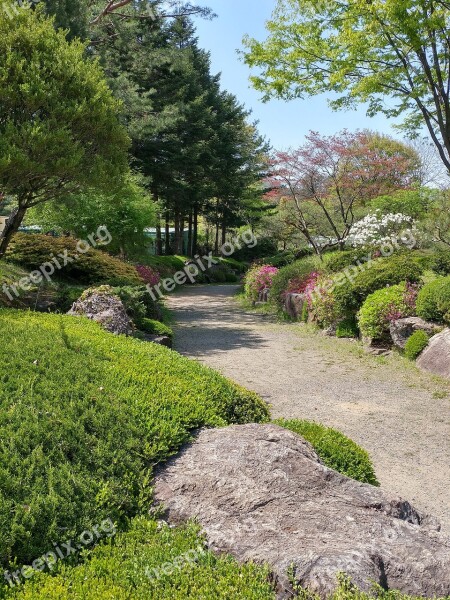 Nature Wood Leaf Plants Garden