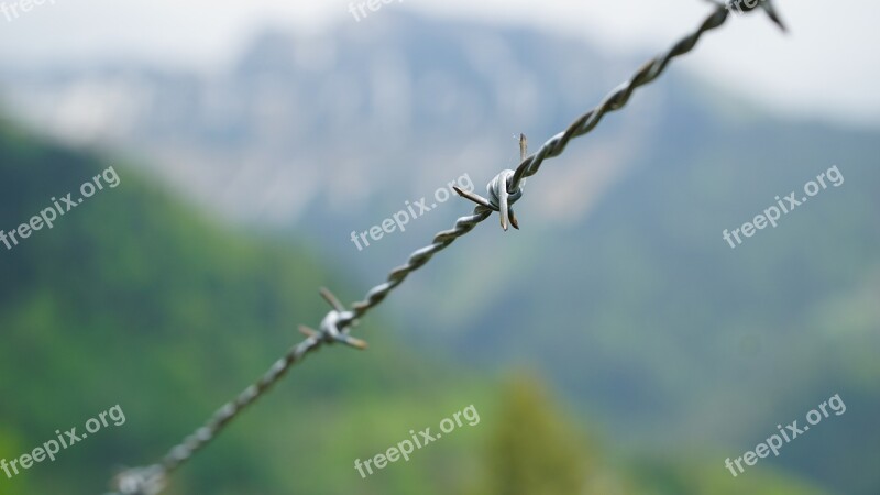 Wire Alm Switzerland Vaud Barrier