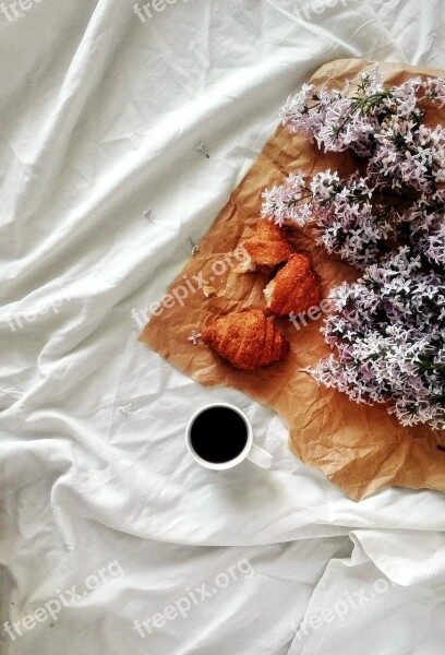 Lilac Flowers Plants Breakfast Coffee