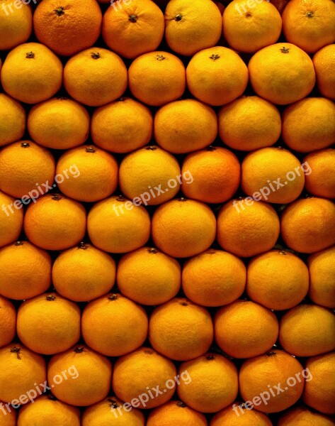 Fruit Oranges Autumn Fruit Greet Citrus Fruits