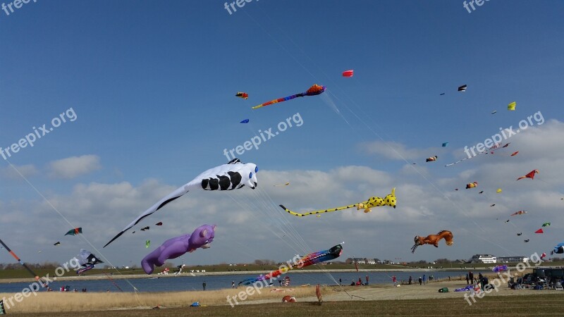 Kite Festival Büsum Dragon Festival Büsum Dragon Rising Free Photos