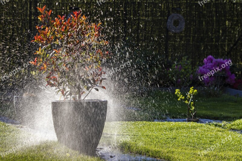 Against Day Watering Garden Free Photos