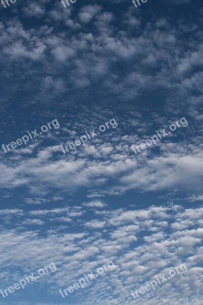 Clouds White Blue Fluffy Cirrocumulus