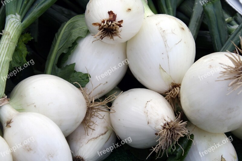 Green Onions Farmers Market Vegetable