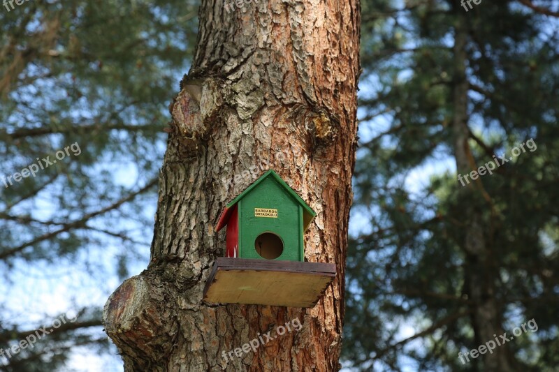 Bird Nature Birdhouse Animal Spring