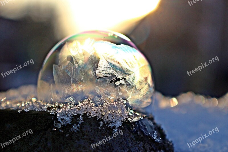 Frost Bubble Frozen Bubble Soap Bubble Winter Ice Bubble