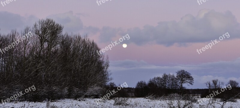 Sky Moon Winter Landscape Winter Evening