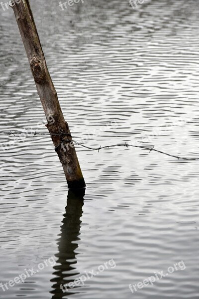 Water Pond Nature Winter Barbed