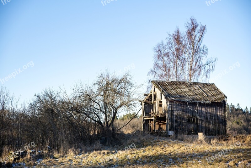 Winter Hovel Old Barn Tree House