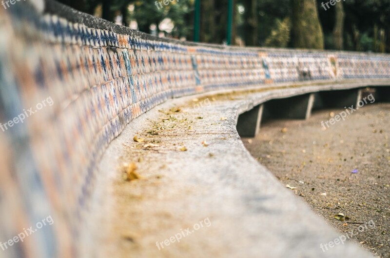 Bench Park Mexico Mexico City Leaves